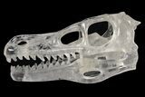 Carved Quartz Crystal Dinosaur Skull #227039-4